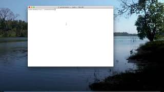 EE 542 Lab assignment #1: DETERLab Tutorials Net Worth