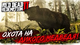Охота На Огромного Дикого Медведя! Что Происходит?! (Red Dead Redemption 2 #4)