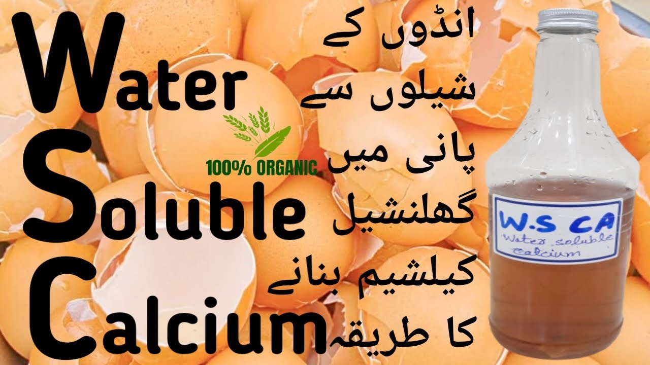 How to Make Water Soluble Calcium with Eggshells (W.S Ca) Korean