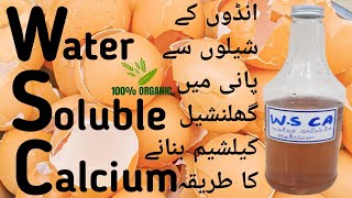How to Make Water Soluble Calcium with Eggshells (W.S Ca) Korean Natural Farming KNF