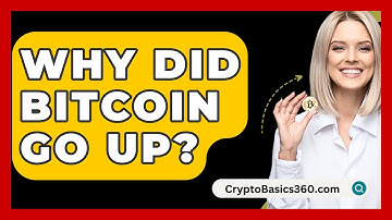Why Did Bitcoin Go Up? - CryptoBasics360.com