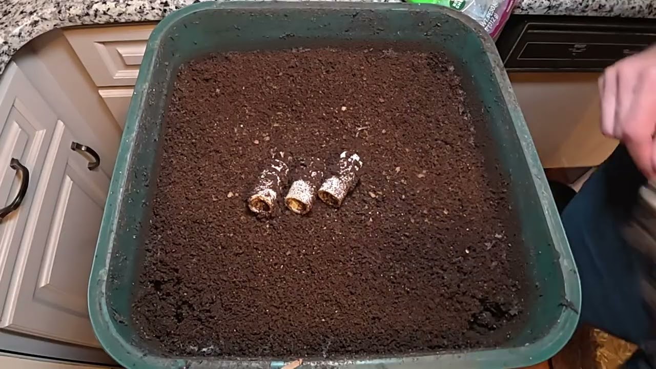 Vermihut Feeding and Tray Rotation 