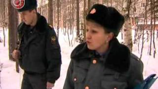 Рейд по собакам Рейд по собакам