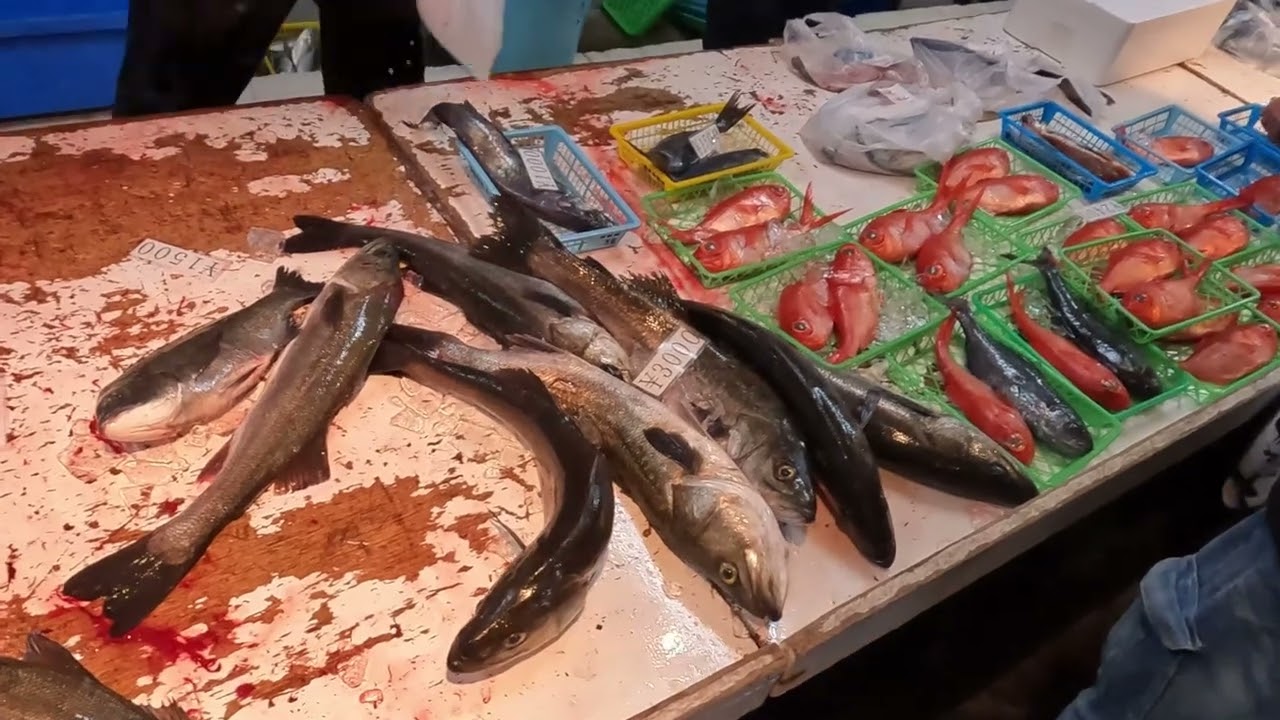 2026年3月1日三浦市金田湾朝市