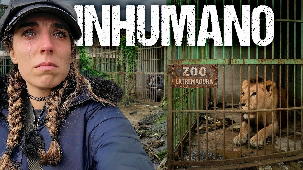 El ZOO que CERRÓ con ANIMALES DENTRO en España