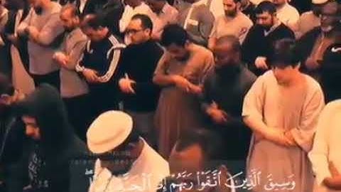 خشوع رهيب للشيخ حسن صالح في أواخر سورة الزمر.