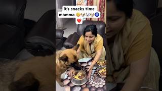🐶😃momma ne bnaya babies ke liye evening snacks 🐶🐻❄️🧿#youtubeshorts #viral #trending #shorts
