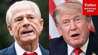 Peter Navarro Claims New Documents Show There Was A Coup Attempt Against Trump By The Deep State