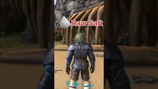 How To Get Raw Salt | #arkmobileragnarok