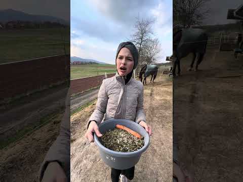 Mit dem Code EMI10 erhältst du 10% Rabatt auf deinen Einkauf bei @alpurial #reiter #pferde Anzeige