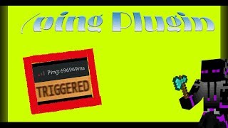 Essentials Programmieren | Ping Command