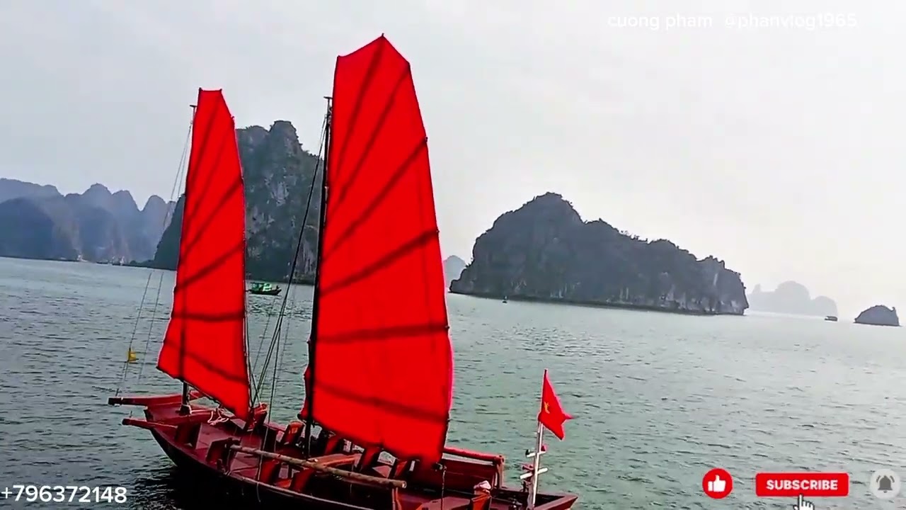 Hạ Long chiều cuối năm.Thăm chợ hoa xuân,ngắm chiều hôm biển đẹp 