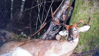 When Ground Hunting Is Best