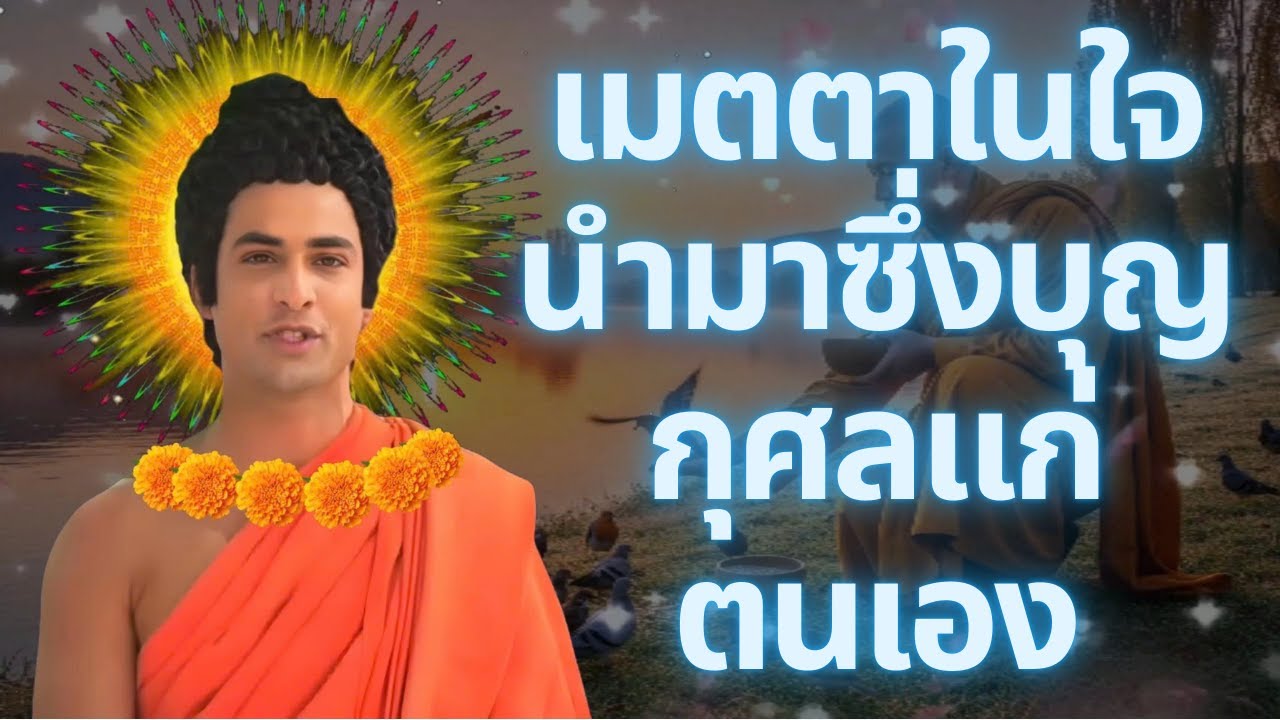 เมตตาในใจนำมาซึ่งบุญกุศลแก่ตนเอง