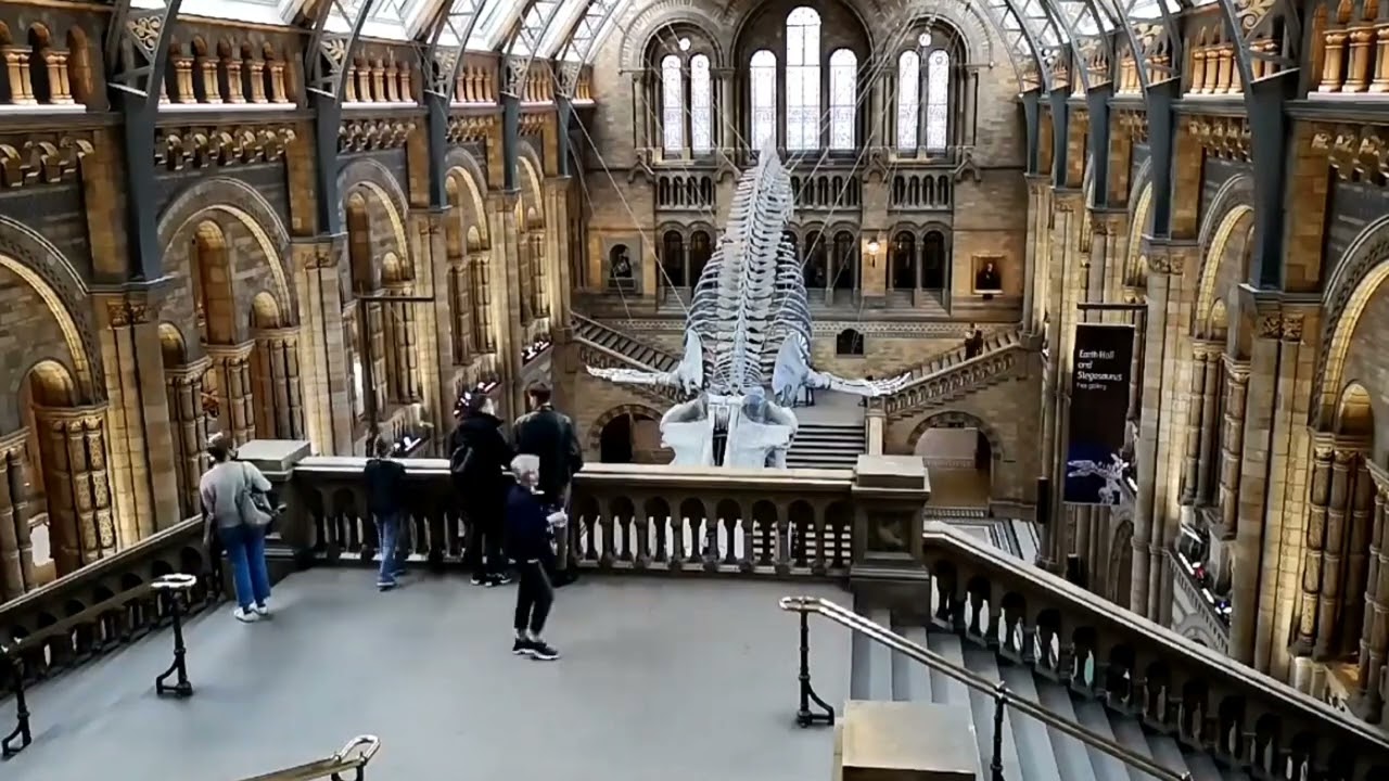 "Unleashing the Power of Tech: Welcome to Tech Talk Central!"