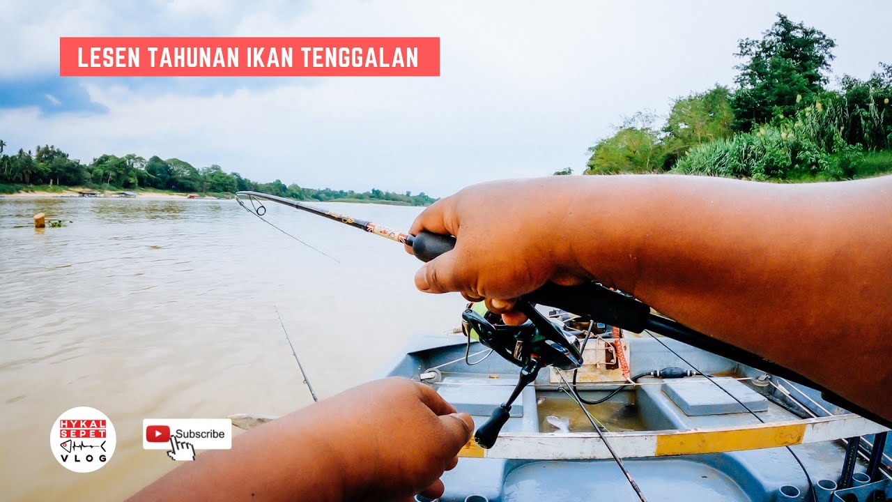 Gasak patin dan tenggalan gemok di lubuk sangkar. - Vlog 88 - Mancing sungai Pahang