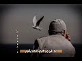 عايش وحيد بدنيتي هاي حزين 