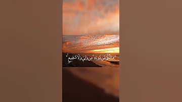 اكتب شيئا تؤجر عليه المصحف Shortvideo اكسبلور 