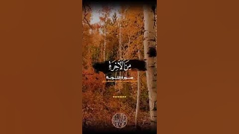 المنشاوي برواية ورش عن نافع المدني {أَرَضِيتُم بِالْحَيَاةِ الدُّنْيَا مِنَ الْآخِرَةِ}التوبة:38