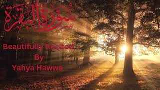 Surah Al-Baqarah Full || By Sheikh Yahya Hawwa(HD)| Relaxing Video | Peaceful Tilawat | 2023