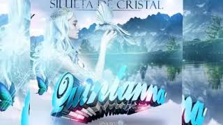 Silueta De Cristal 💎 || Grupo Quintana 2021 || Tema Limpió 💥