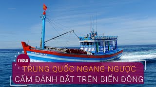 Phản đối lệnh cấm đánh bắt cá của Trung Quốc trên biển Đông | VTC Now