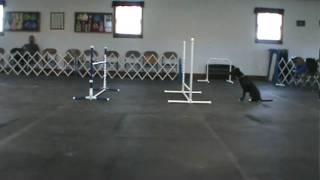 Juice 1-17-10 Salo Set Point #5