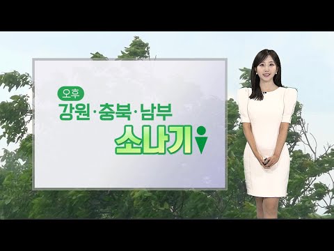 [날씨] 지방선거일 때이른 더위…내륙 곳곳 소나기 / 연합뉴스TV (YonhapnewsTV)
