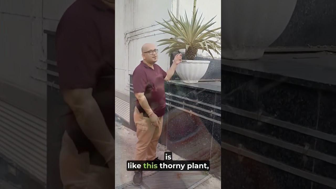 It really used to hurt😓🌵| 