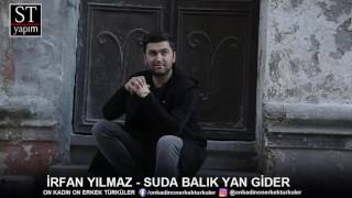 İrfan Yılmaz - Suda Balık Yan Gider Resimi