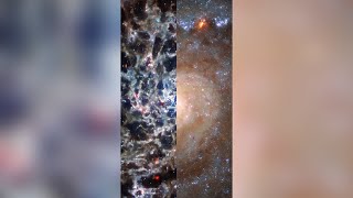 Invisible and Visible IC 5332 Galaxy (NASA, JWST and ESA)