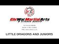 Little dragons and juniors classes at chi wai martial arts