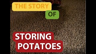 The story of storing potatoes