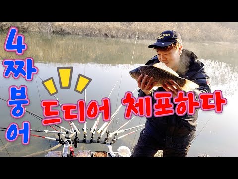 2026년 첫 사짜붕어  낚았어요 김포 고촌수로편