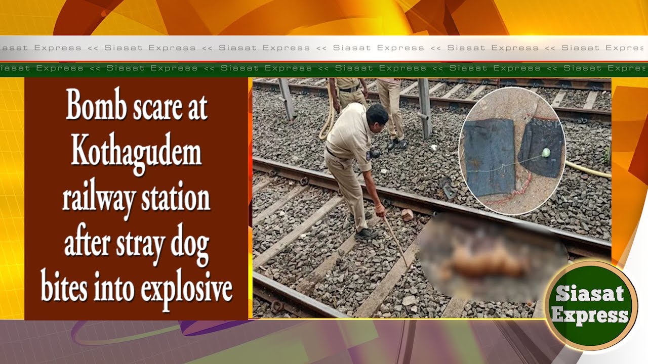 Bomb scare at Kothagudem railway station after stray dog bites into explosive | District Express