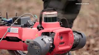 'Robot dog' helps Oxford scientists monitor forest health | REUTERS