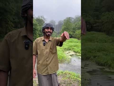 الجنوب العماني