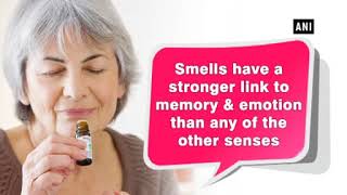 Here's why smells trigger such vivid memories