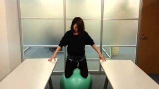 毎日1分で太もも痩せ バランスボールで体幹トレーニング 膝立ち を試してみた １日目 Youtube