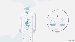 How CBD Works The ECS System