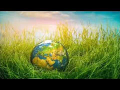 Βίντεο: Πού και πώς γιορτάζεται η Ημέρα της Γης