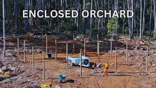 Constructing A Wildlife Proof Orchard And A Special Delivery Arrives! #offgridhome #goingoffgrid