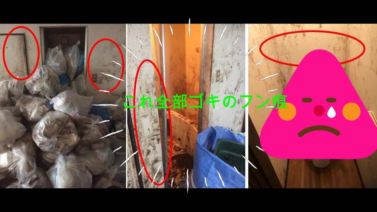 【まごのてのゴキブリ駆除】出るには理由があった！？