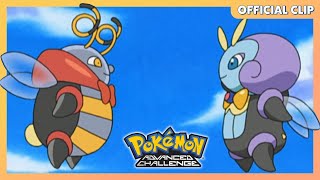 Volbeat & Illumise | Pokémon: Advanced Challenge | Official Clip