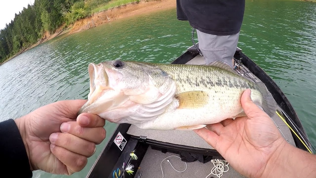 Henry Hagg Lake - Post Spawn Bass Fishing - YouTube
