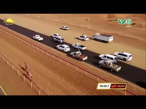 الشوط 15 لهايف ل ظافر بن هادي الأحبابي مهرجان محمد بن زايد الأثنين 2018 1 8 الذيد اللقايا