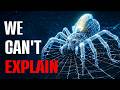 Nothing About the Zombie Wasp Belongs on Earth…