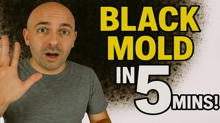 Black Mold - How To Kill Toxic Mold In Under 5 Mins! - DayDayNews