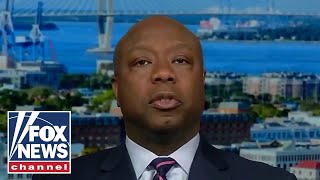 Famous Tim Scott fires back at CNN Don Lemon's tirade against him Profile