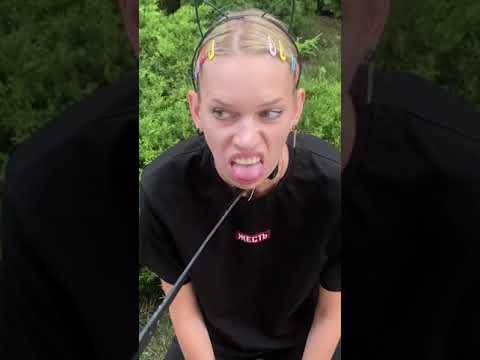 Tik Tok Мысли собаки 